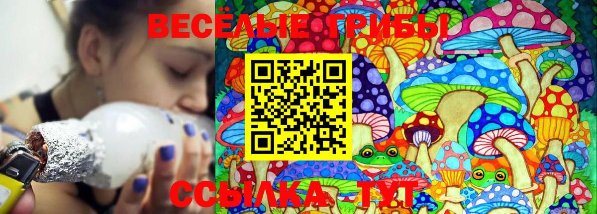 Псилоцибиновые грибы мицелий Звенигород
